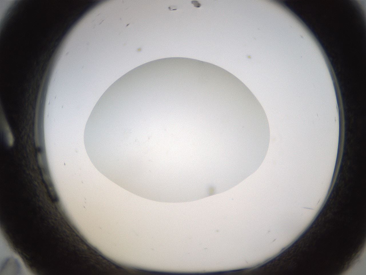folderID435_plateID1435_batchID5441_wellNum11_profileID1_d1_r88749_ef.jpg