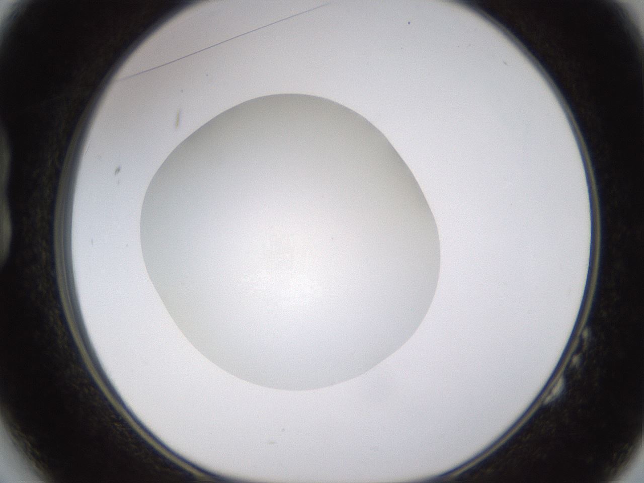 folderID435_plateID1435_batchID5441_wellNum14_profileID1_d1_r88755_ef.jpg