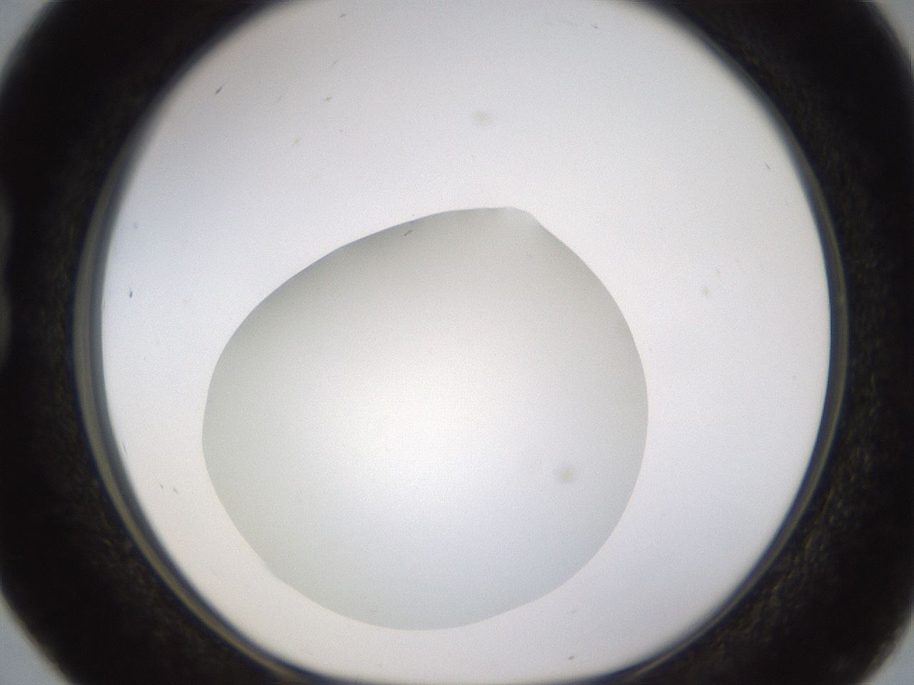 folderID435_plateID1435_batchID5441_wellNum16_profileID1_d1_r88759_ef.jpg