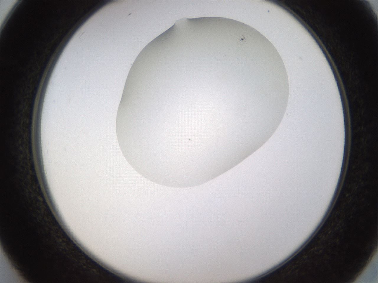 folderID435_plateID1435_batchID5441_wellNum26_profileID1_d2_r88780_ef.jpg