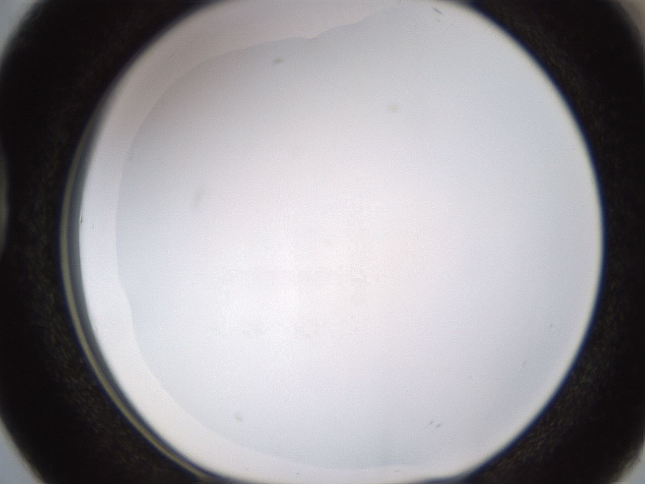 folderID435_plateID1435_batchID5441_wellNum38_profileID1_d1_r88803_ef.jpg