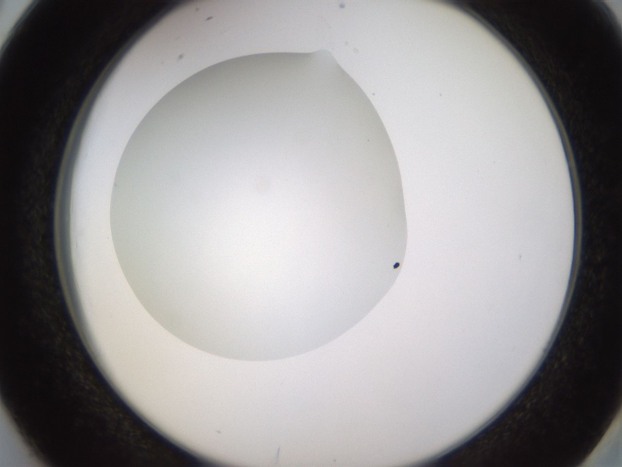 folderID435_plateID1435_batchID5441_wellNum38_profileID1_d2_r88804_ef.jpg