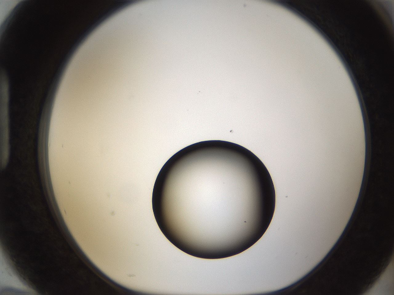 folderID54_plateID1054_batchID2252_wellNum94_profileID1_d1_r47502_ef.jpg