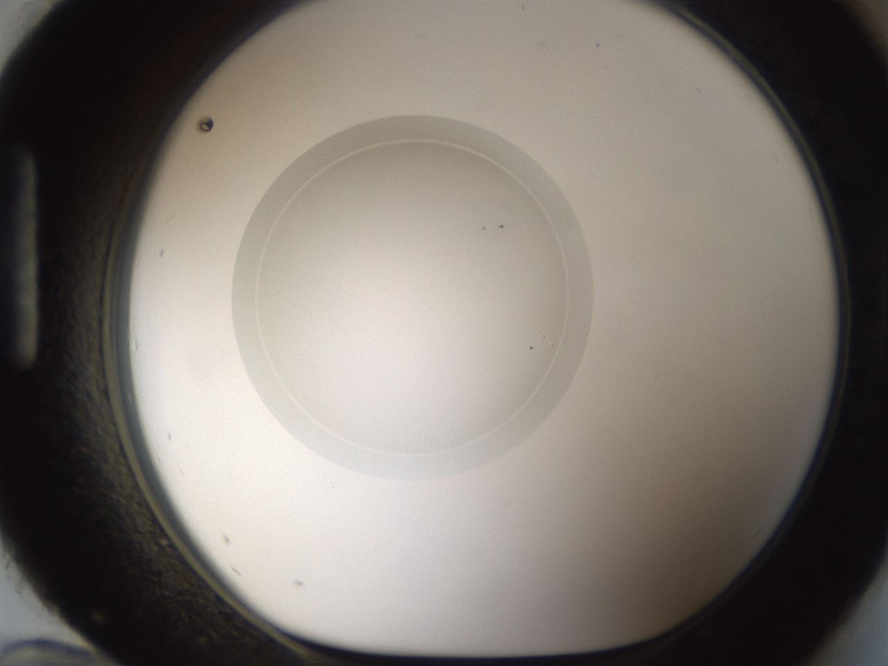 folderID54_plateID1054_batchID2252_wellNum96_profileID1_d1_r47504_ef.jpg