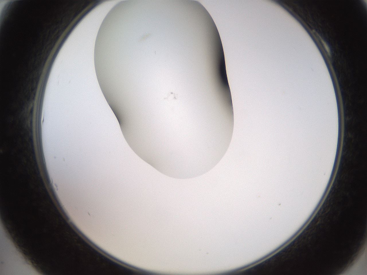 folderID551_plateID2551_batchID12612_wellNum10_profileID1_d2_r194426_ef.jpg