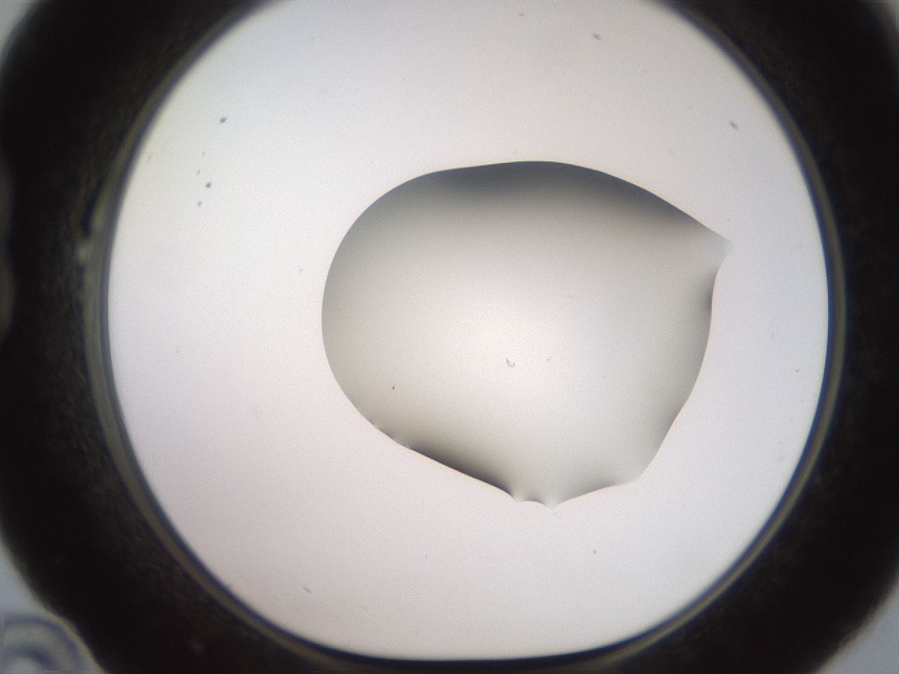 folderID551_plateID2551_batchID12612_wellNum22_profileID1_d1_r194449_ef.jpg
