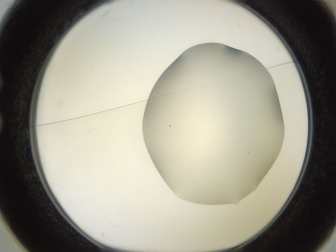 folderID551_plateID2551_batchID12612_wellNum25_profileID1_d1_r194455_ef.jpg