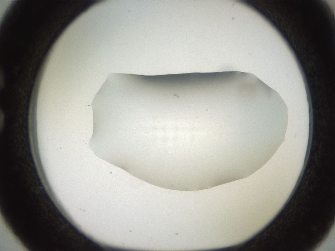 folderID551_plateID2551_batchID12612_wellNum26_profileID1_d1_r194457_ef.jpg