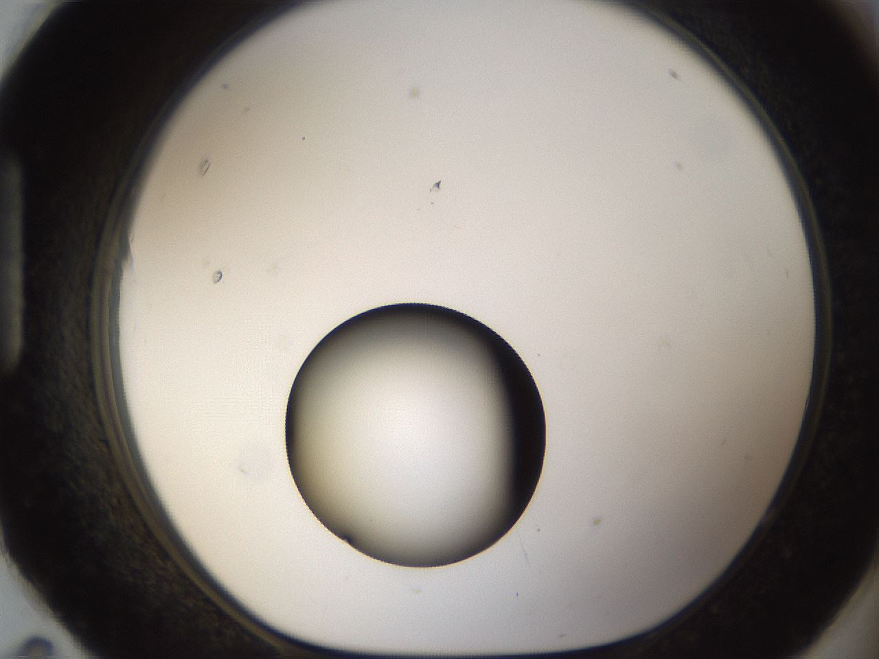 folderID54_plateID1054_batchID2252_wellNum95_profileID1_d1_r47503_ef.jpg