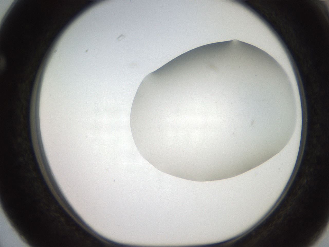 folderID551_plateID2551_batchID12612_wellNum63_profileID1_d1_r194531_ef.jpg