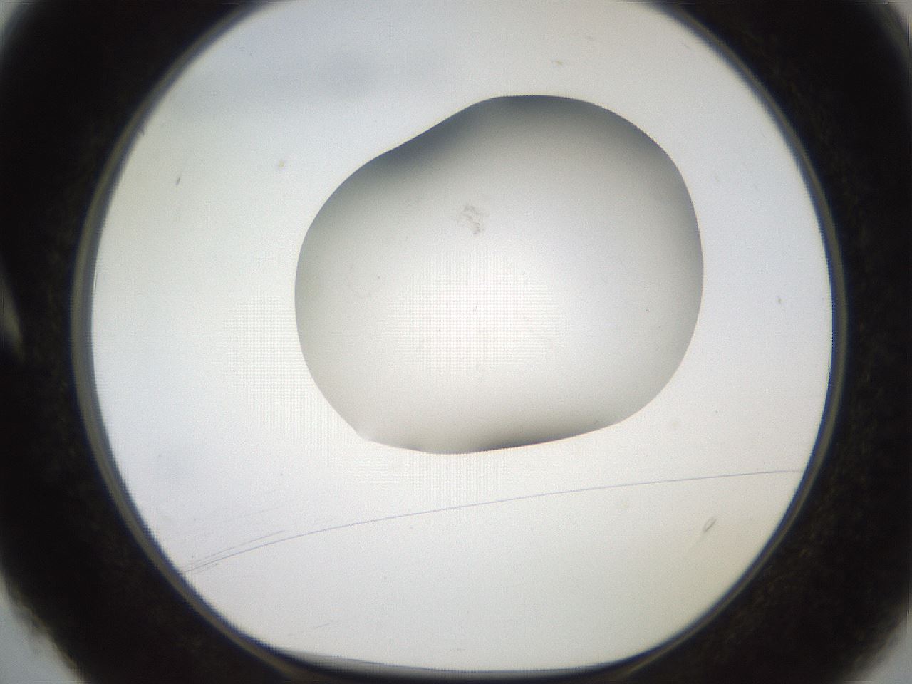 folderID553_plateID2553_batchID12617_wellNum4_profileID1_d1_r194605_ef.jpg