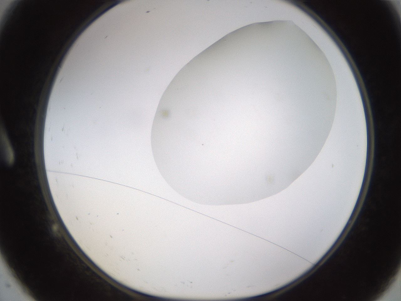folderID435_plateID1435_batchID5441_wellNum9_profileID1_d1_r88745_ef.jpg