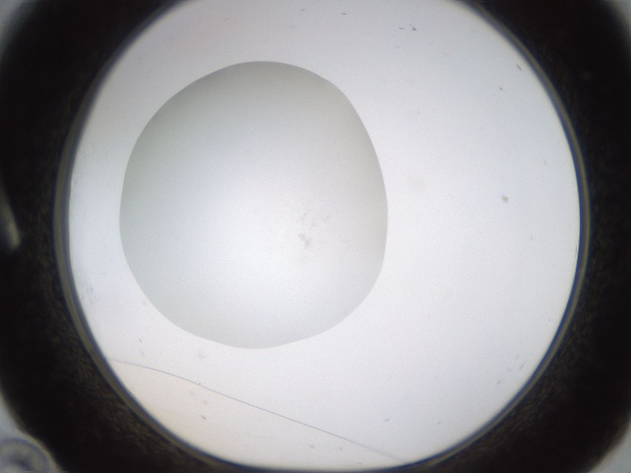 folderID436_plateID1436_batchID5442_wellNum10_profileID1_d1_r88939_ef.jpg