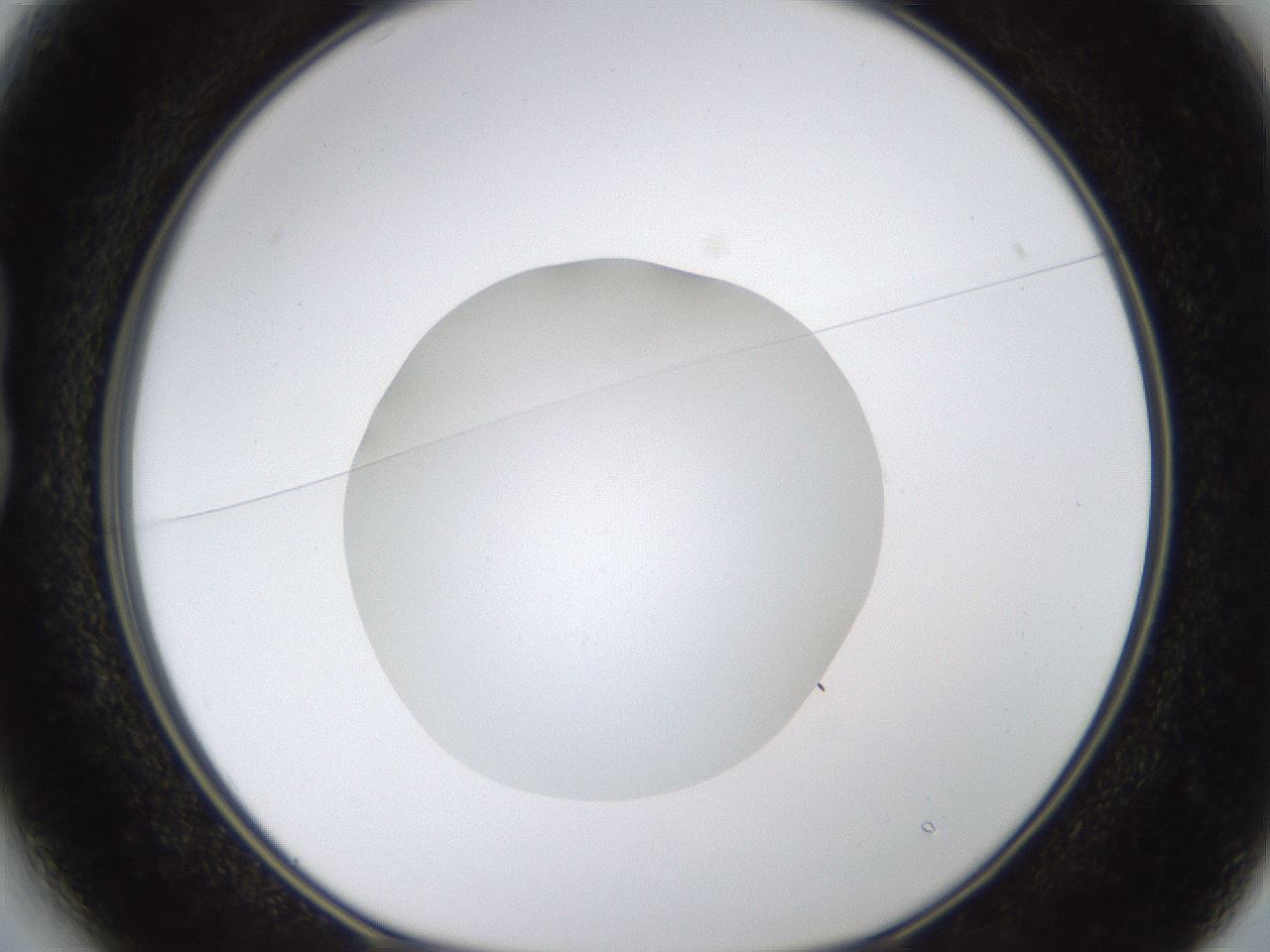 folderID436_plateID1436_batchID5442_wellNum13_profileID1_d1_r88945_ef.jpg