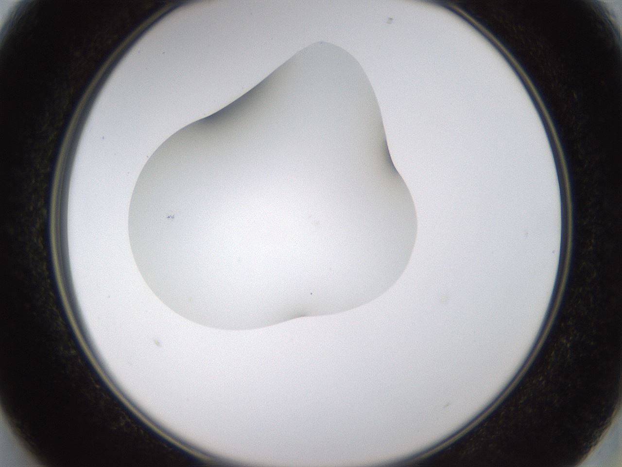 folderID436_plateID1436_batchID5442_wellNum13_profileID1_d2_r88946_ef.jpg