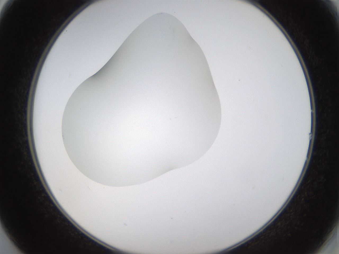 folderID436_plateID1436_batchID5442_wellNum14_profileID1_d2_r88948_ef.jpg