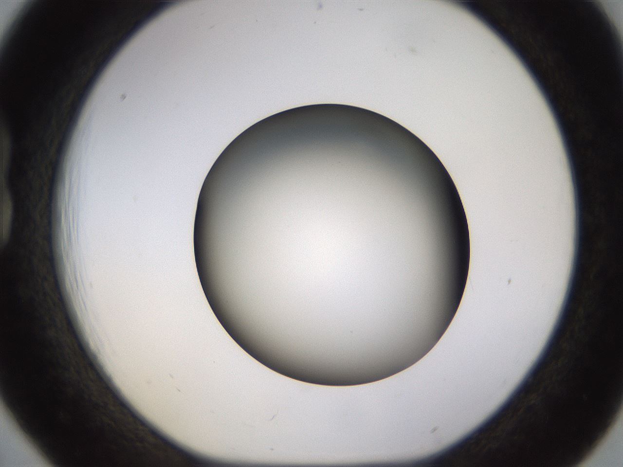 folderID570_plateID1570_batchID6358_wellNum18_profileID1_d1_r102656_ef.jpg