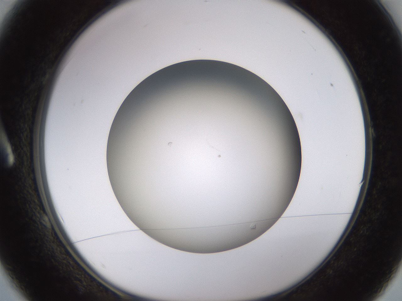 folderID570_plateID1570_batchID6358_wellNum1_profileID1_d1_r102639_ef.jpg