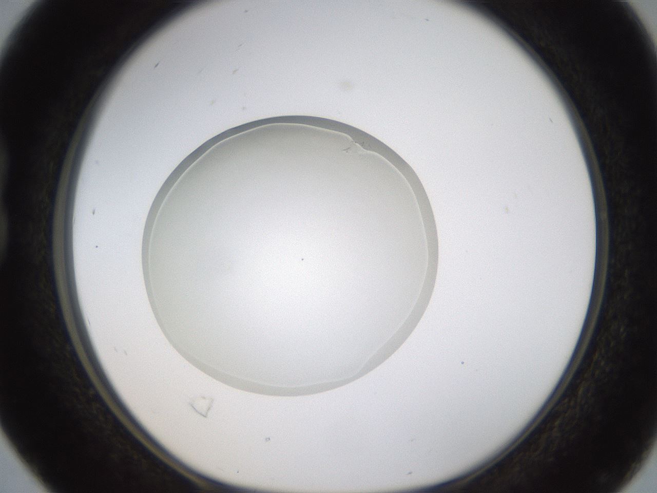 folderID436_plateID1436_batchID5442_wellNum16_profileID1_d1_r88951_ef.jpg
