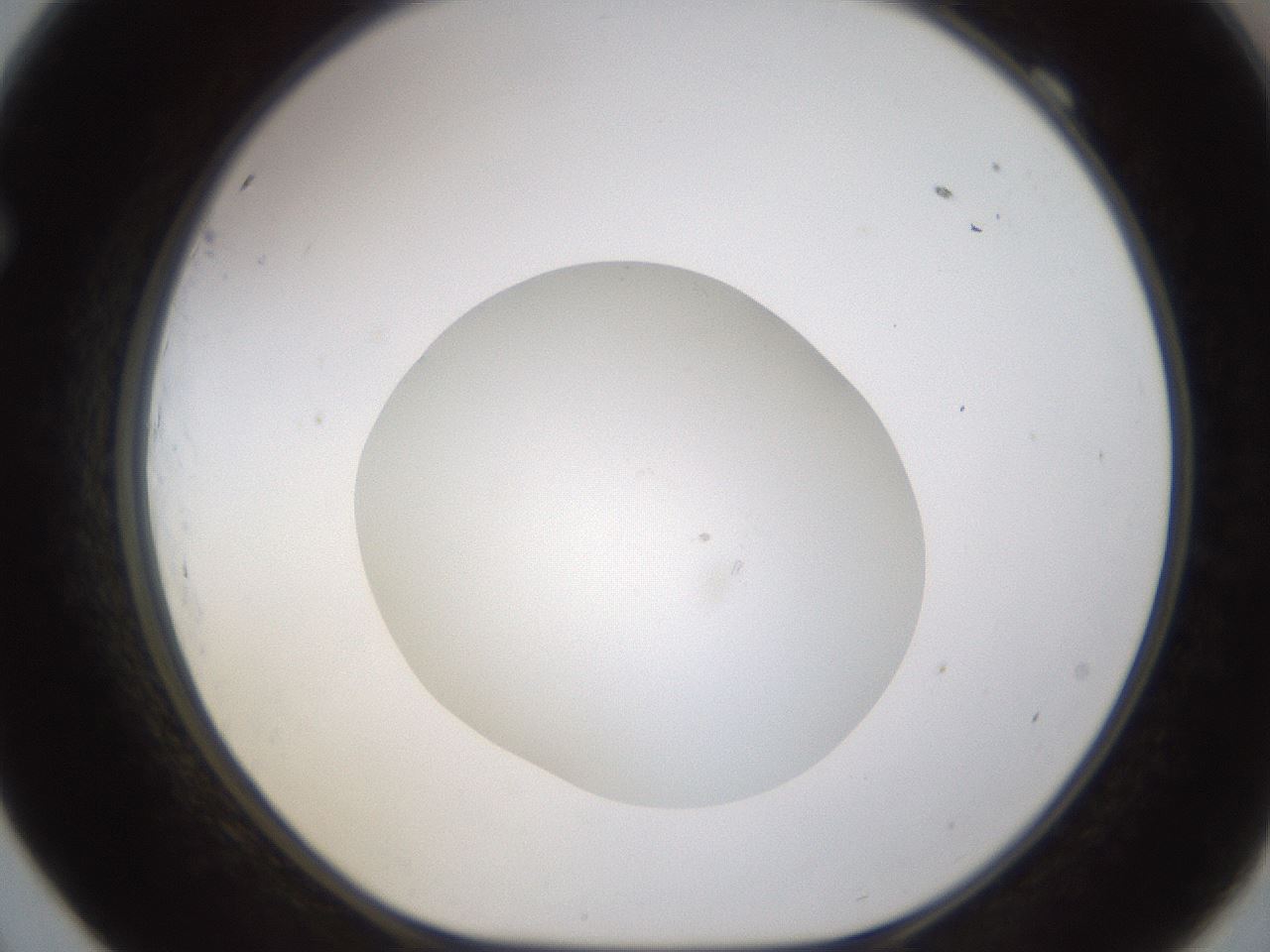 folderID434_plateID1434_batchID5443_wellNum69_profileID1_d1_r89441_ef.jpg