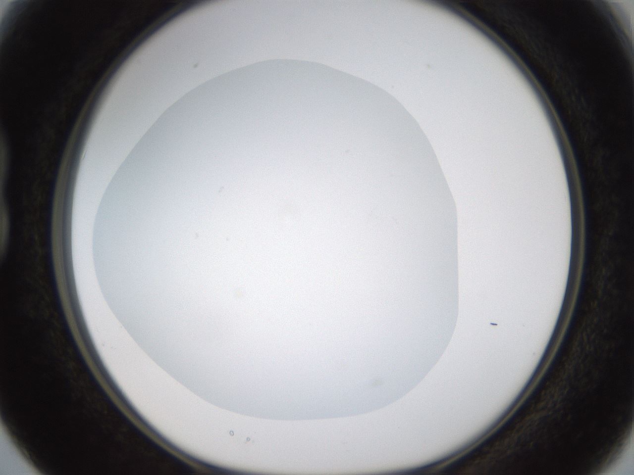 folderID436_plateID1436_batchID5442_wellNum15_profileID1_d1_r88949_ef.jpg