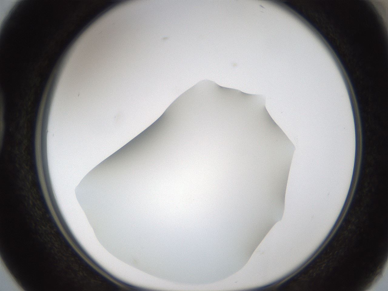 folderID57_plateID2057_batchID9024_wellNum38_profileID1_d1_r138748_ef.jpg