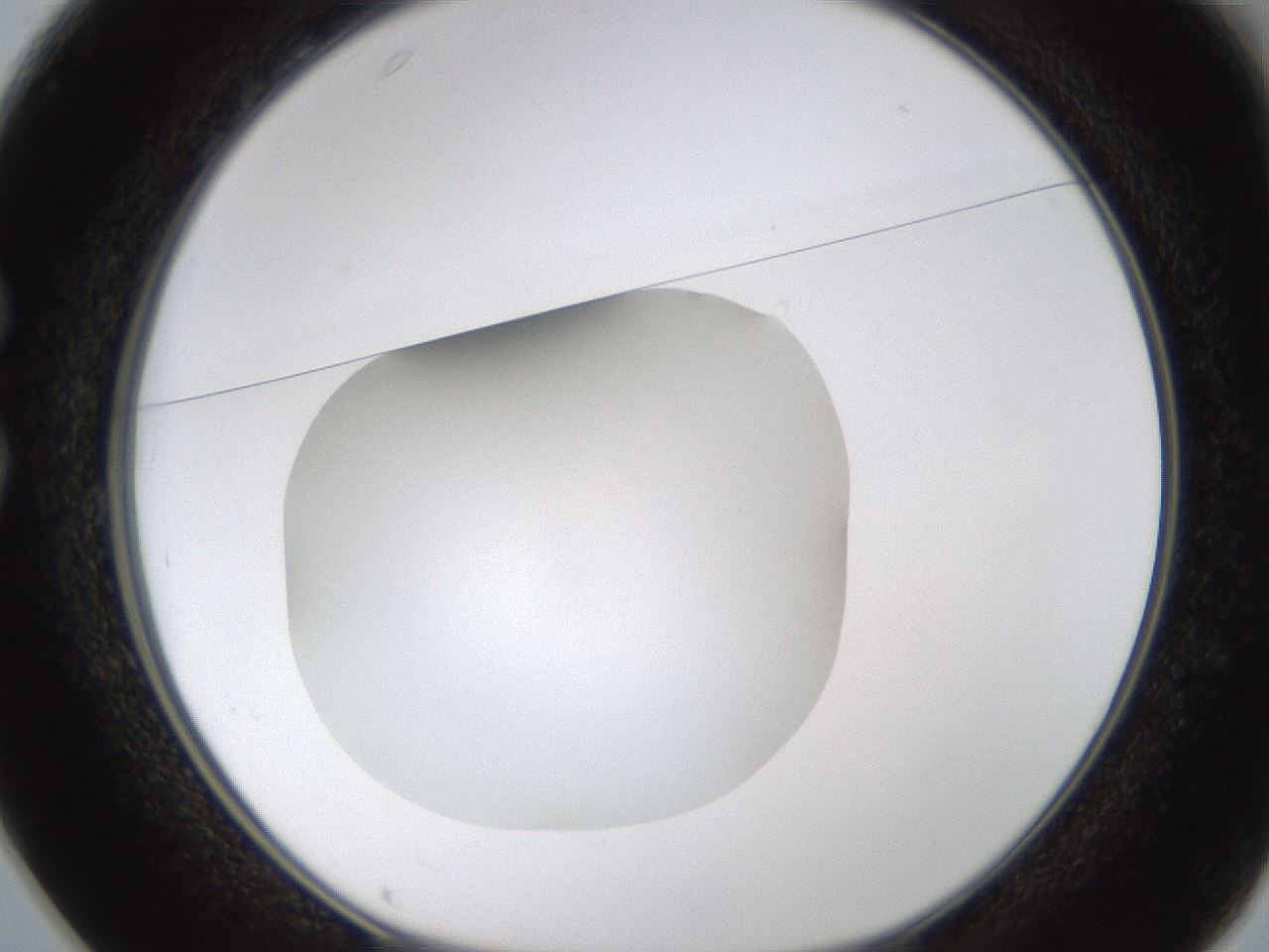 folderID436_plateID1436_batchID5442_wellNum25_profileID1_d1_r88969_ef.jpg