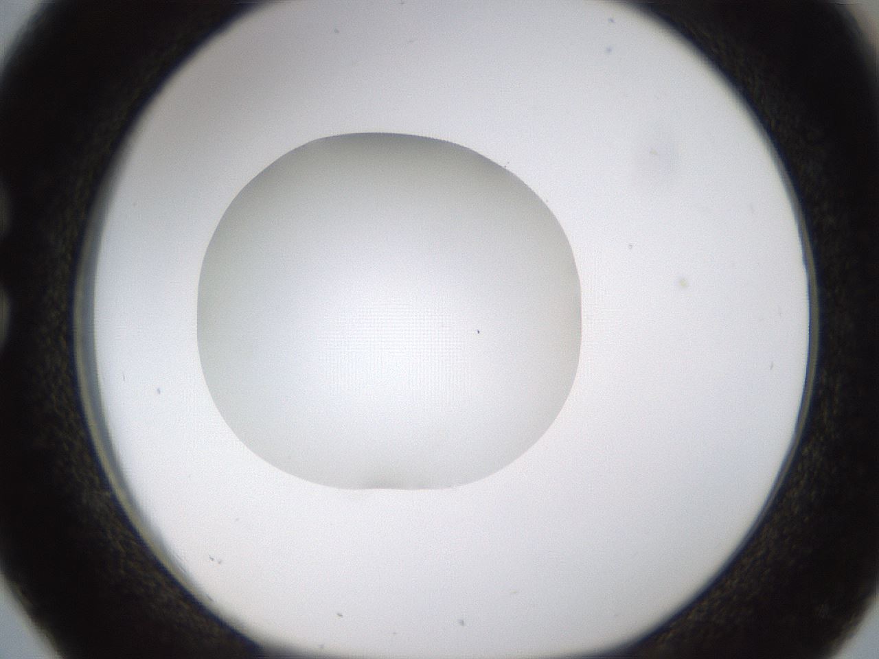 folderID436_plateID1436_batchID5442_wellNum26_profileID1_d1_r88971_ef.jpg
