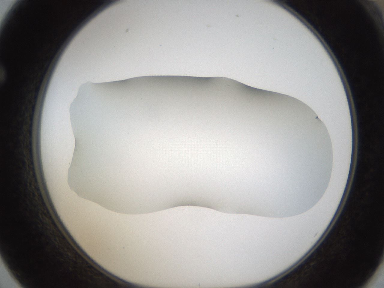 folderID57_plateID2057_batchID9024_wellNum62_profileID1_d1_r138772_ef.jpg