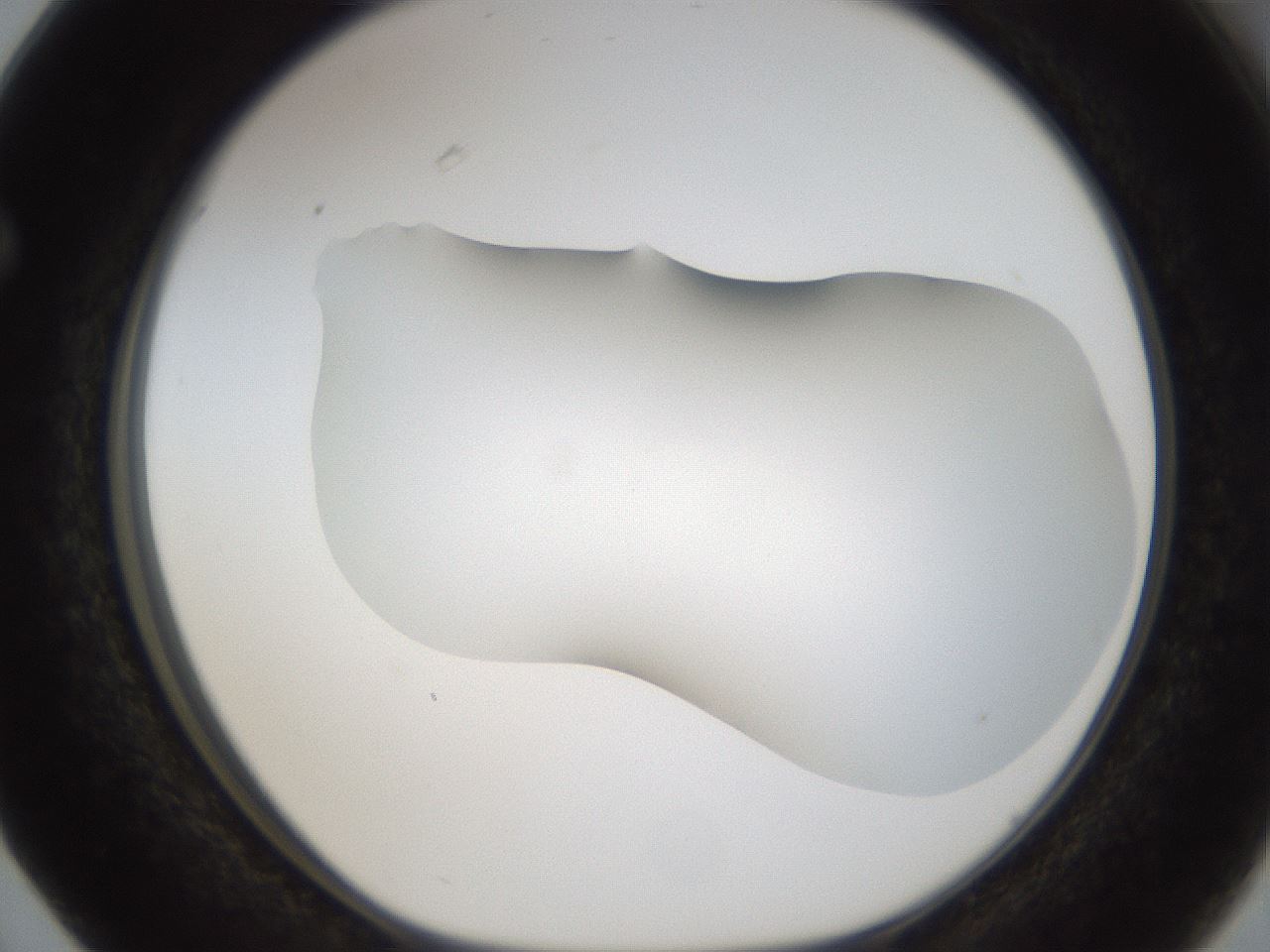 folderID57_plateID2057_batchID9024_wellNum63_profileID1_d1_r138773_ef.jpg