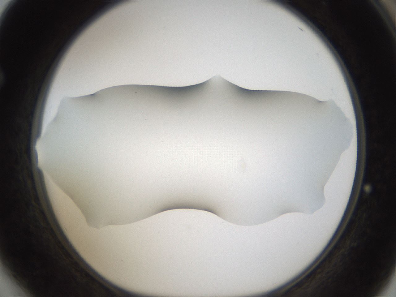 folderID57_plateID2057_batchID9024_wellNum64_profileID1_d1_r138774_ef.jpg