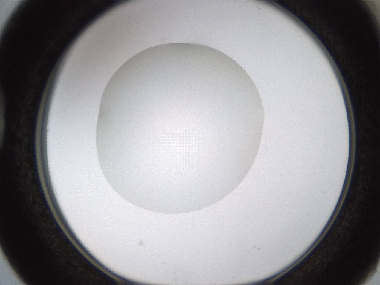 folderID436_plateID1436_batchID5442_wellNum38_profileID1_d1_r88995_ef.jpg