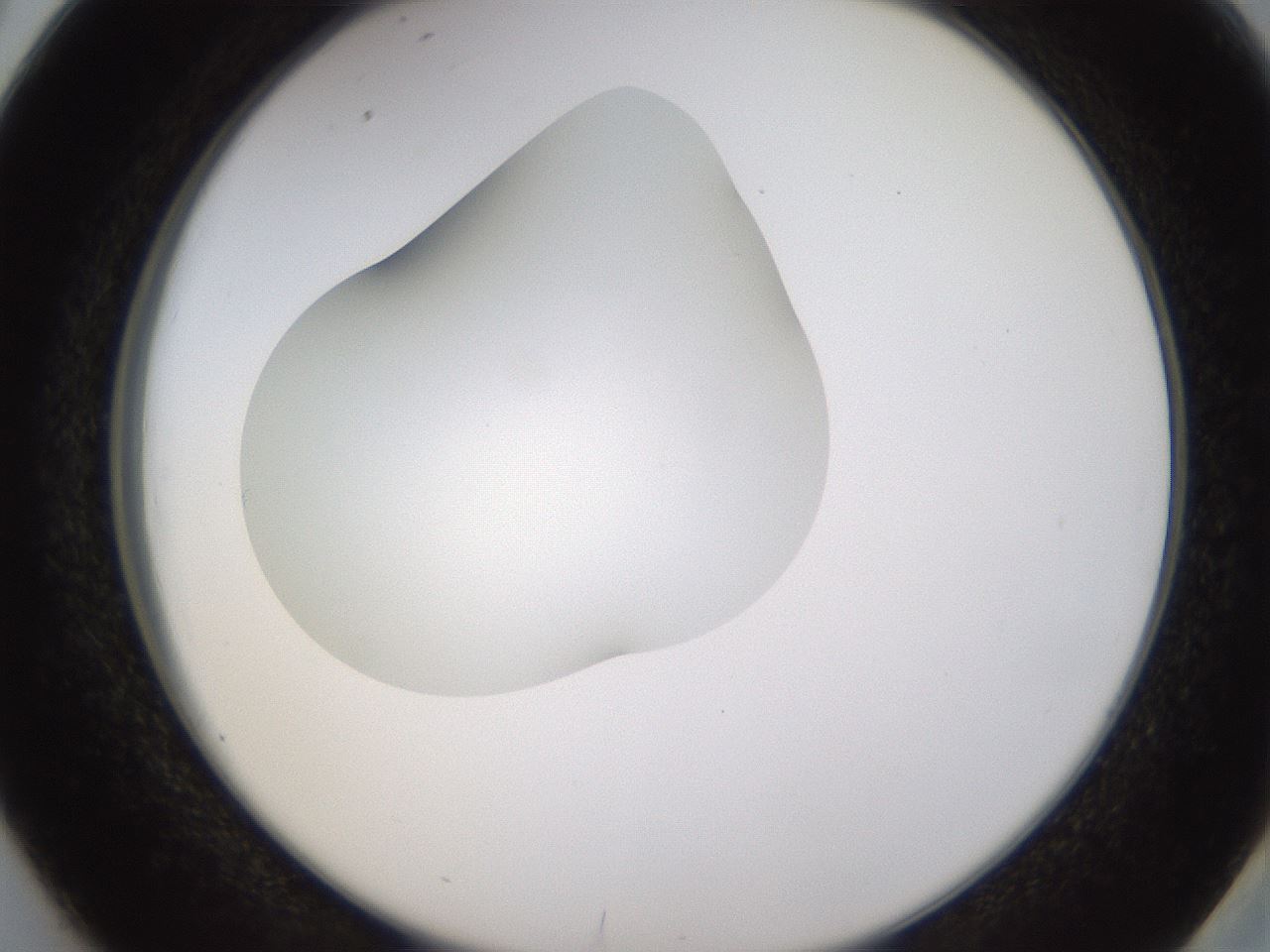 folderID436_plateID1436_batchID5442_wellNum38_profileID1_d2_r88996_ef.jpg