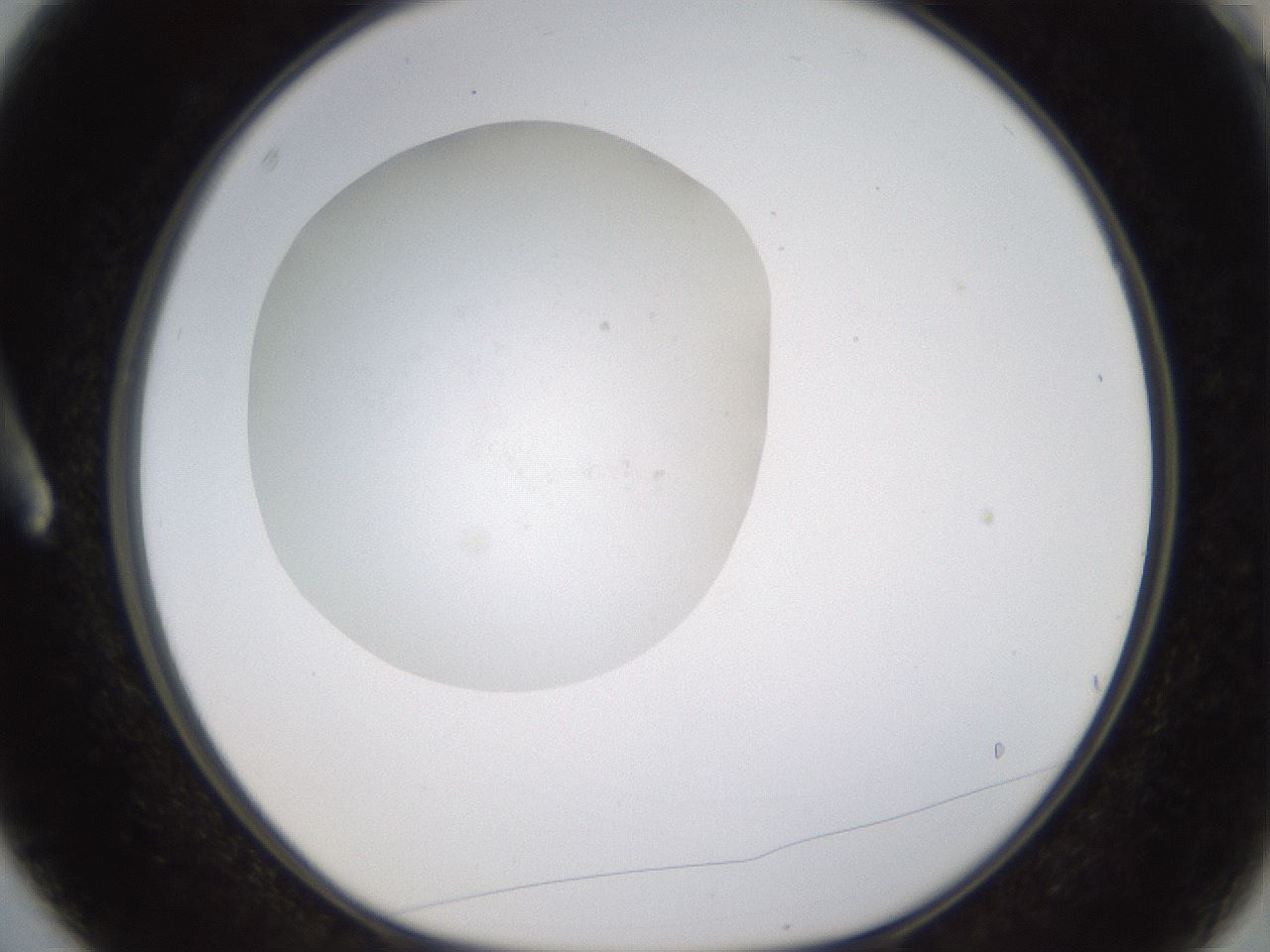 folderID436_plateID1436_batchID5442_wellNum3_profileID1_d1_r88925_ef.jpg