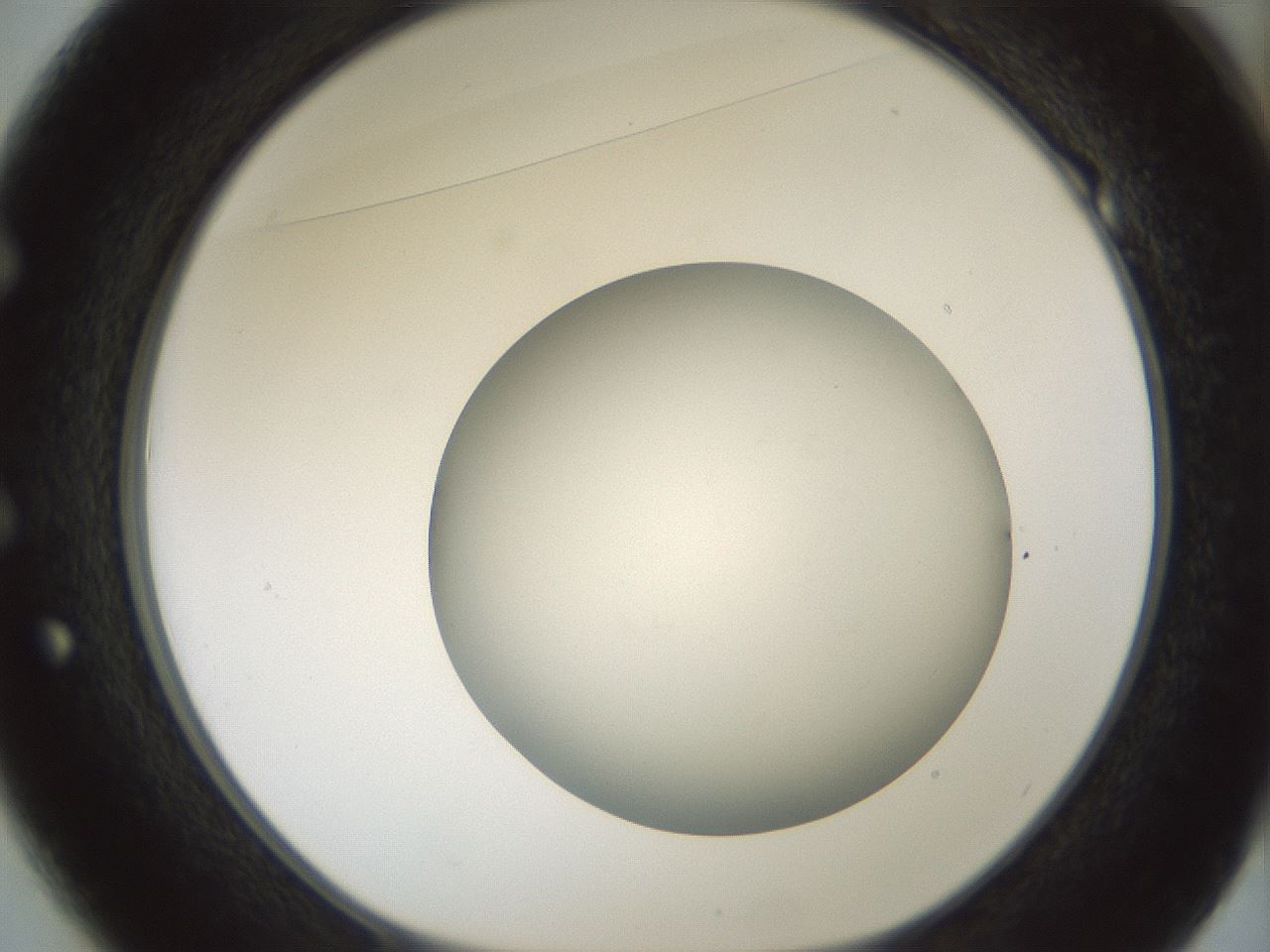 folderID580_plateID1580_batchID6451_wellNum49_profileID1_d1_r104175_ef.jpg
