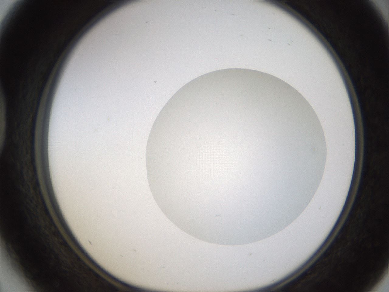 folderID436_plateID1436_batchID5442_wellNum41_profileID1_d1_r89001_ef.jpg