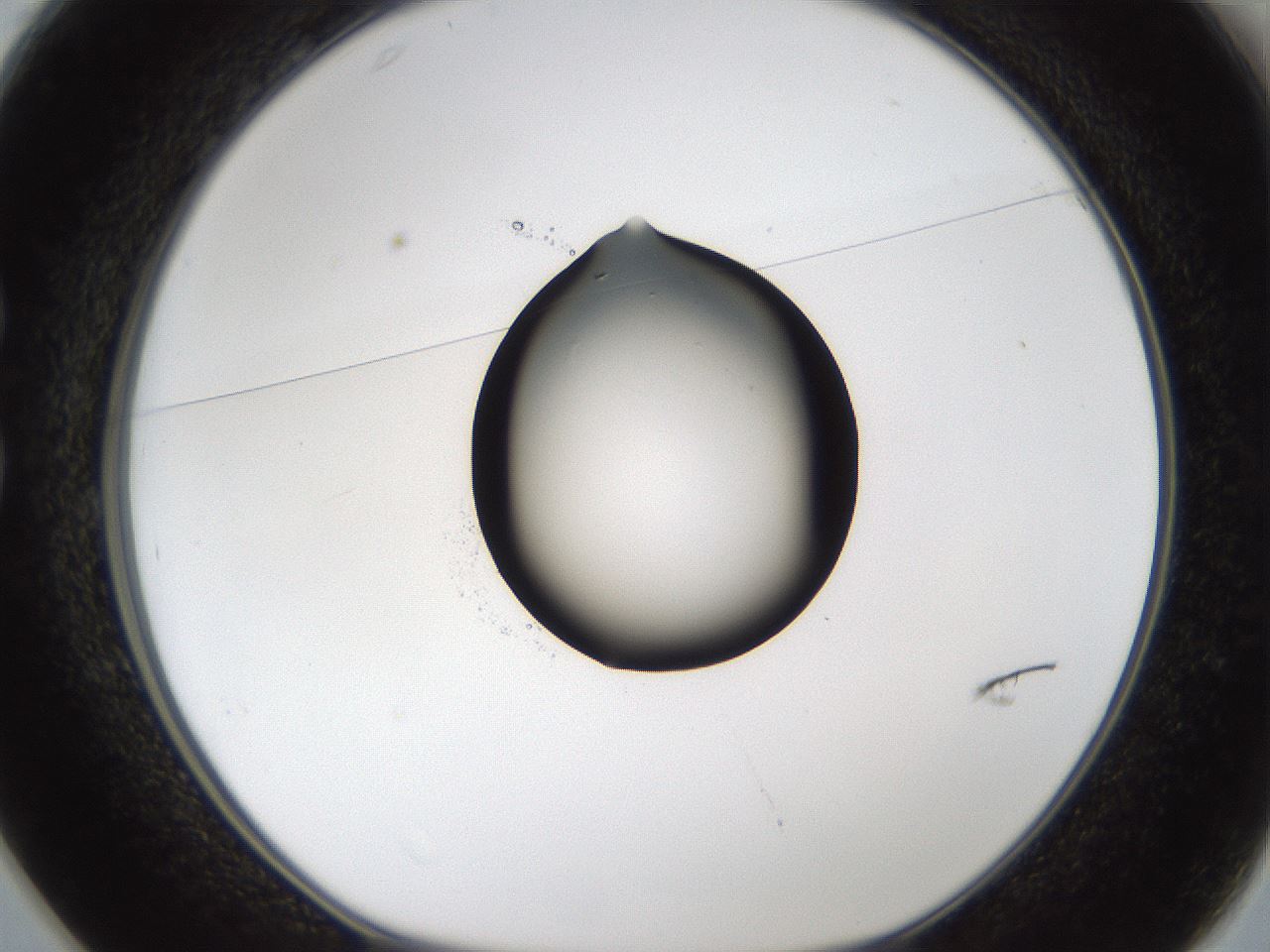 folderID58_plateID1058_batchID2301_wellNum25_profileID1_d1_r47769_ef.jpg