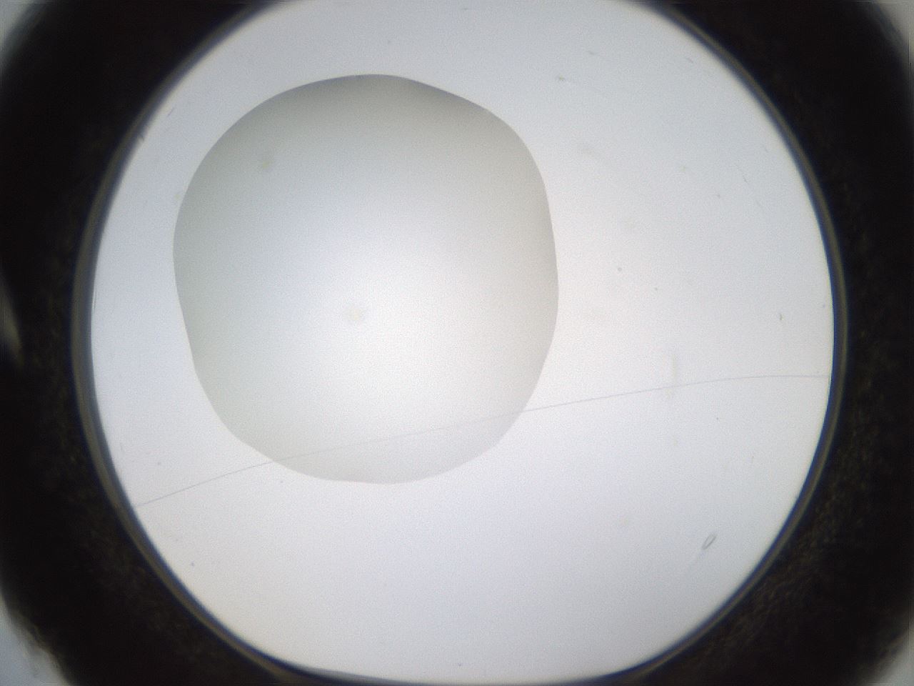 folderID436_plateID1436_batchID5442_wellNum4_profileID1_d1_r88927_ef.jpg