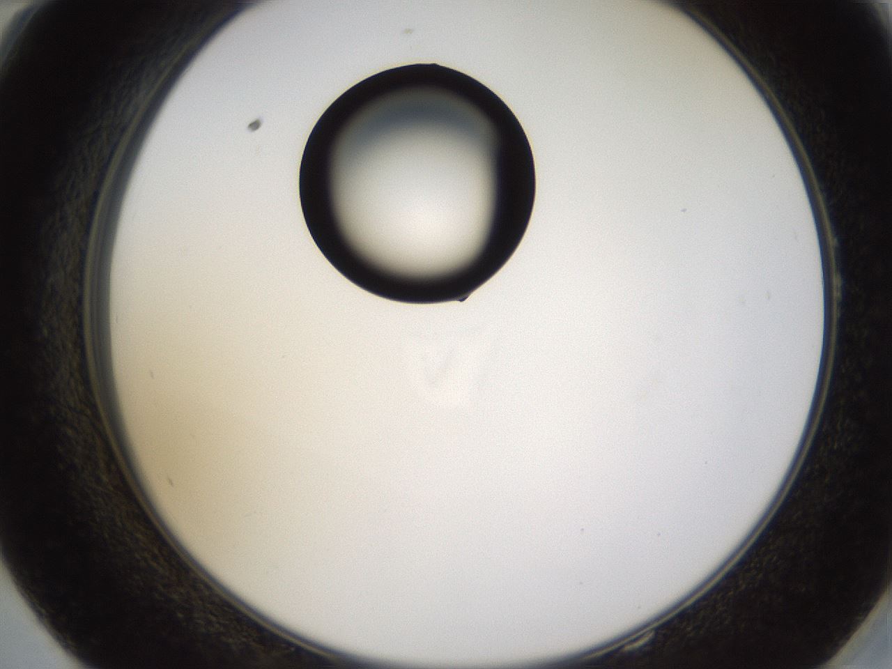 folderID436_plateID1436_batchID5442_wellNum58_profileID1_d2_r89036_ef.jpg