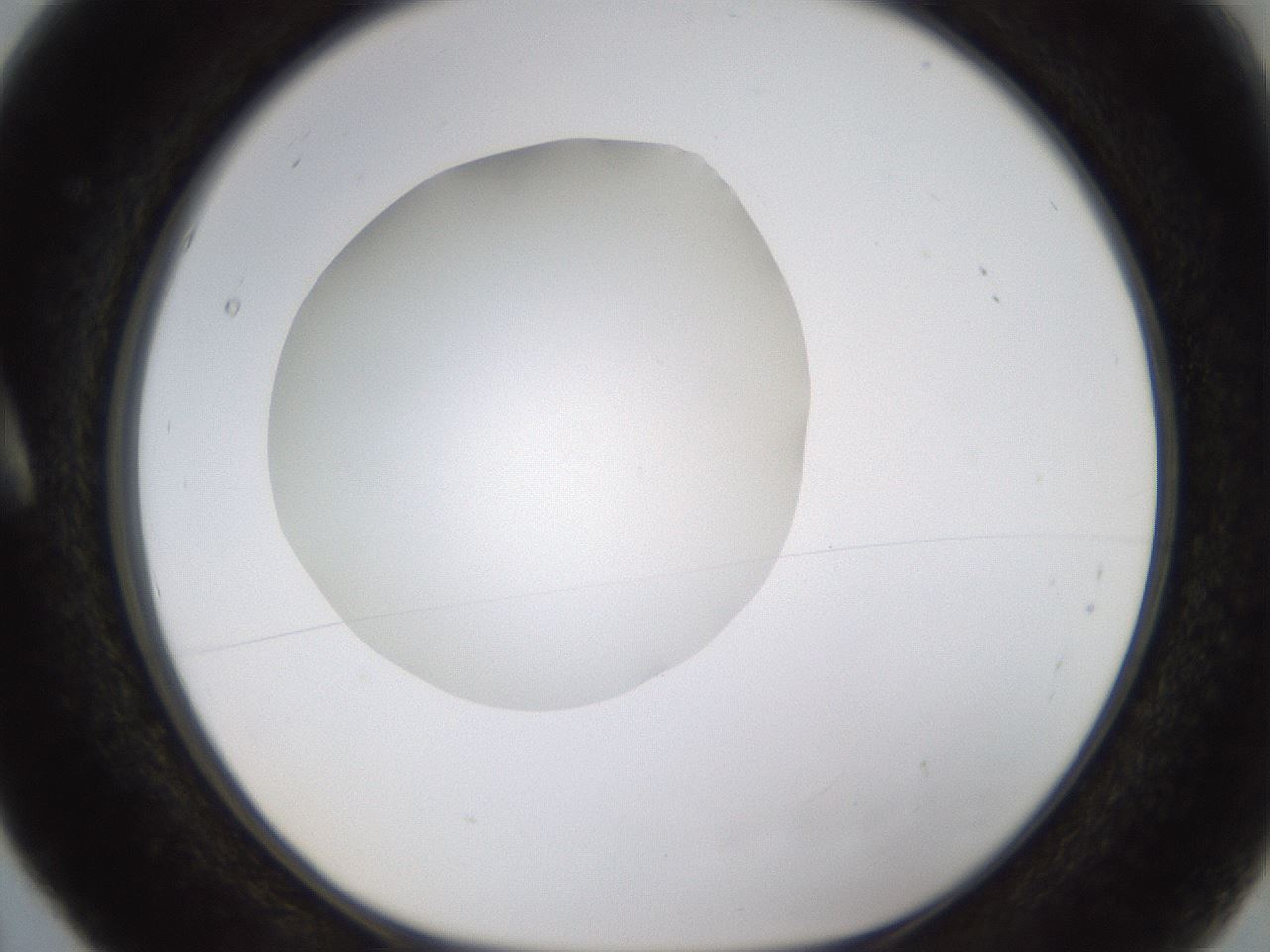 folderID436_plateID1436_batchID5442_wellNum5_profileID1_d1_r88929_ef.jpg