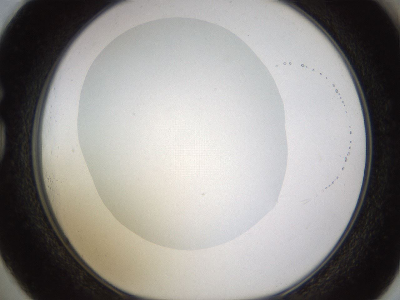 folderID436_plateID1436_batchID5442_wellNum73_profileID1_d1_r89065_ef.jpg