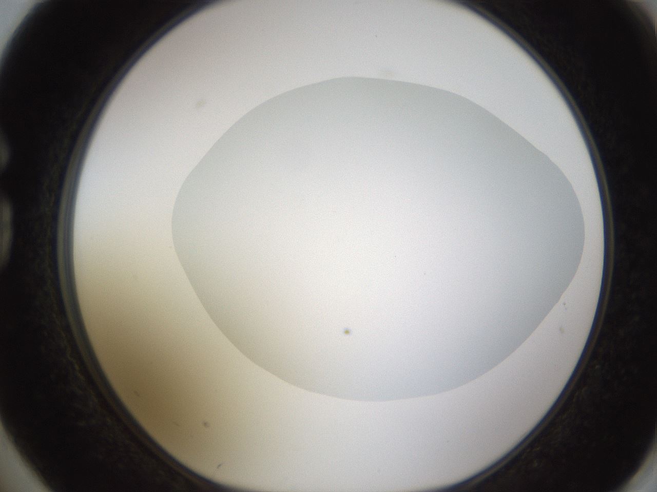 folderID436_plateID1436_batchID5442_wellNum74_profileID1_d1_r89067_ef.jpg