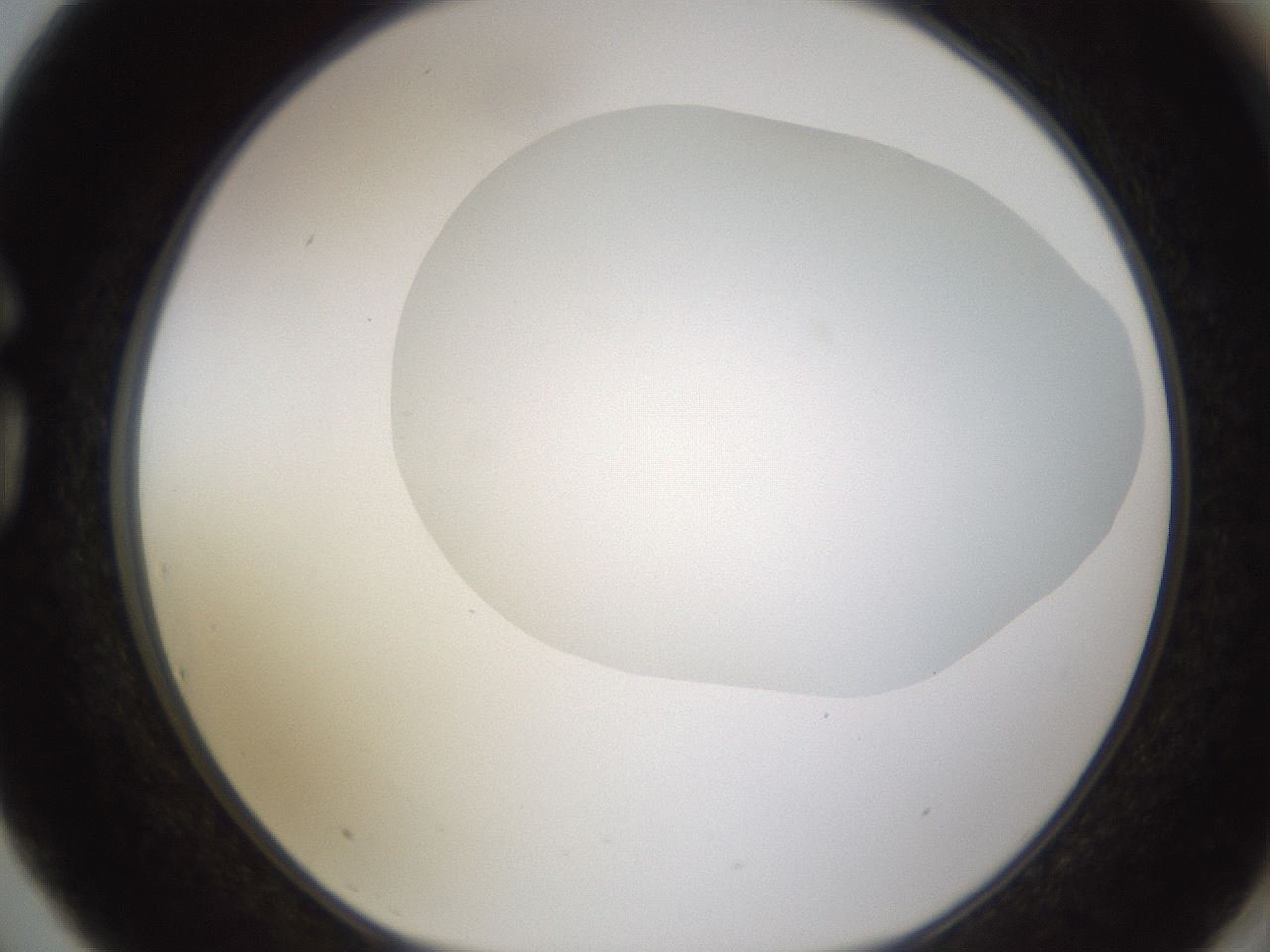 folderID436_plateID1436_batchID5442_wellNum75_profileID1_d1_r89069_ef.jpg