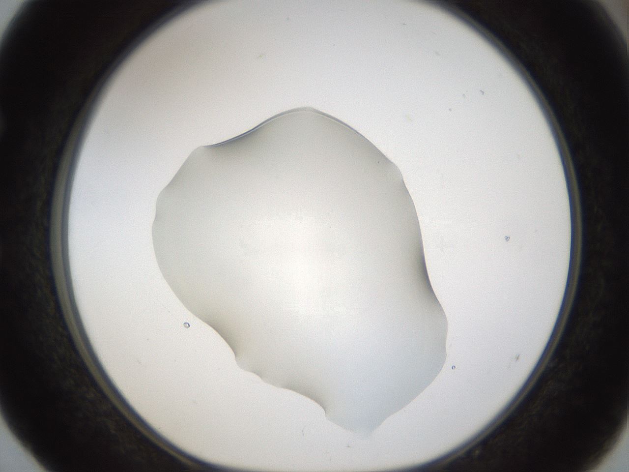 folderID58_plateID1058_batchID2301_wellNum52_profileID1_d1_r47796_ef.jpg