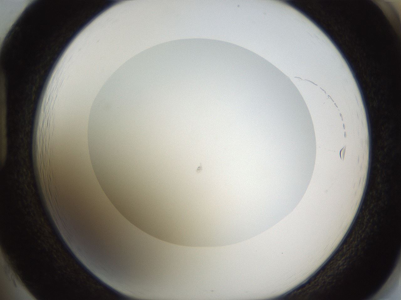 folderID436_plateID1436_batchID5442_wellNum85_profileID1_d1_r89089_ef.jpg