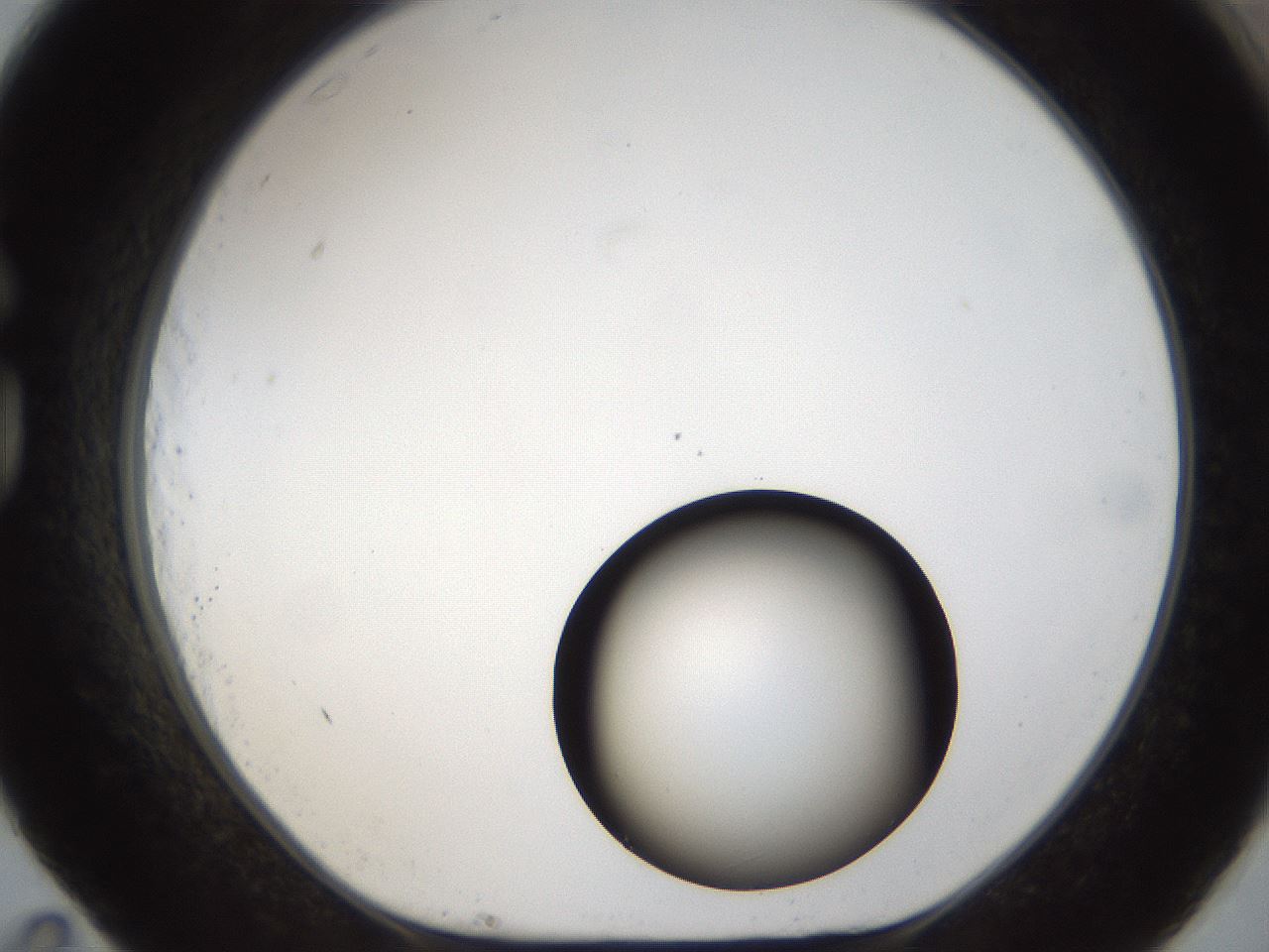 folderID58_plateID1058_batchID2301_wellNum83_profileID1_d1_r47827_ef.jpg