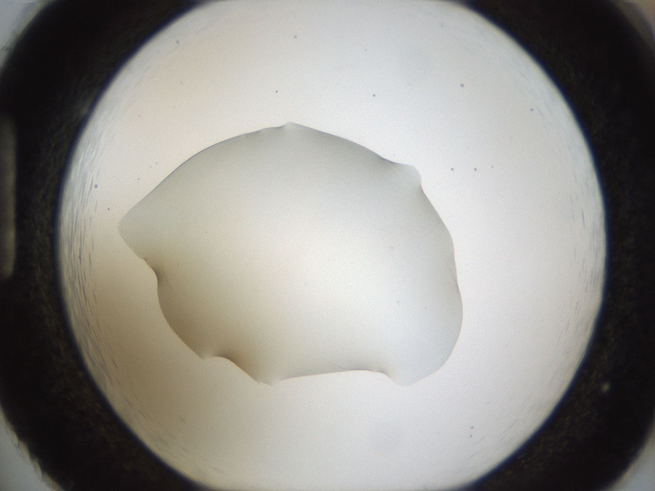 folderID58_plateID1058_batchID2301_wellNum86_profileID1_d1_r47830_ef.jpg