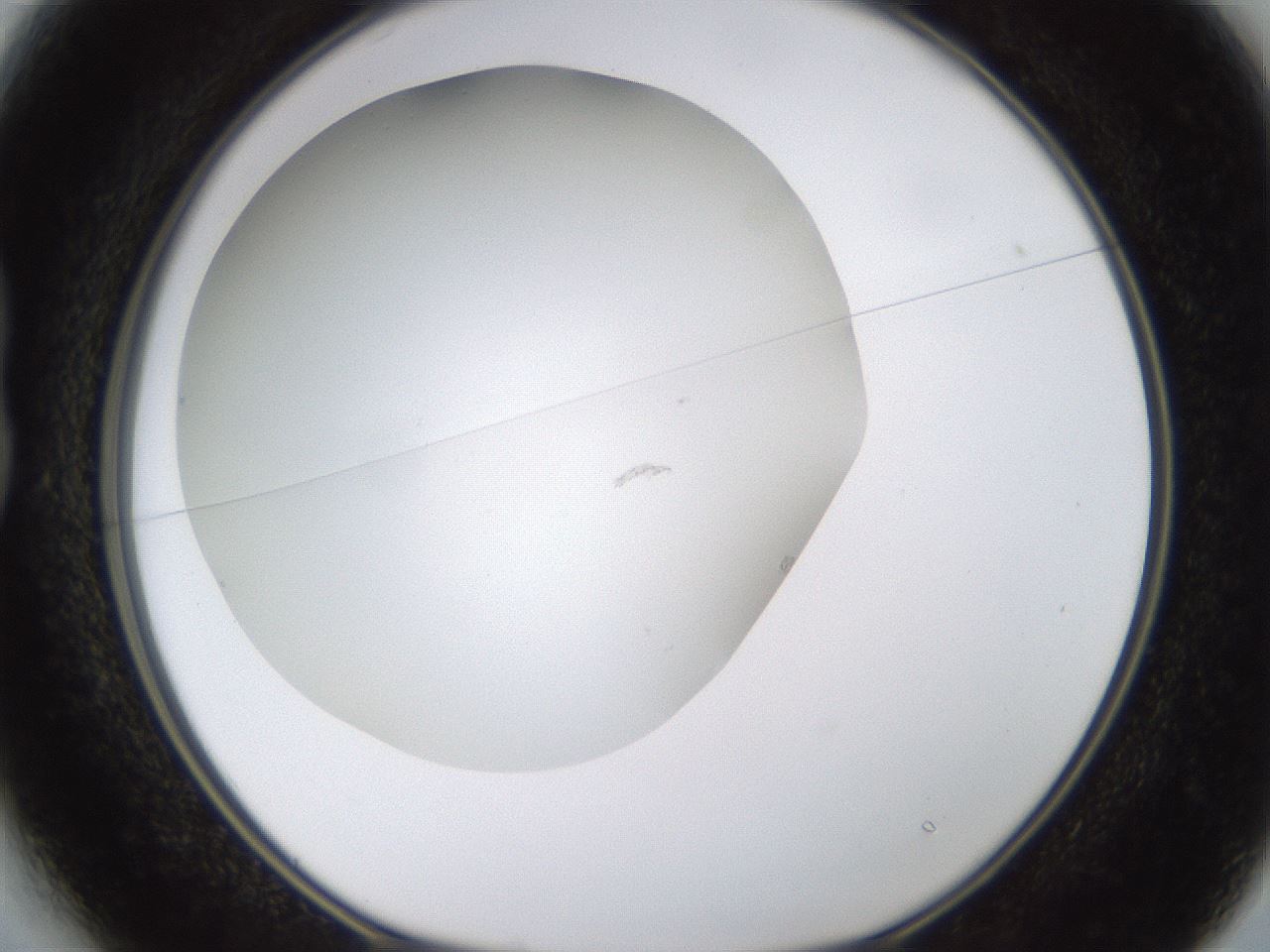 folderID437_plateID1437_batchID5444_wellNum13_profileID1_d1_r89713_ef.jpg