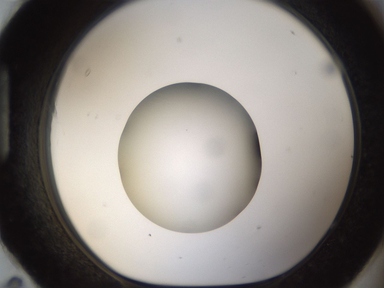 folderID58_plateID1058_batchID2301_wellNum95_profileID1_d1_r47839_ef.jpg