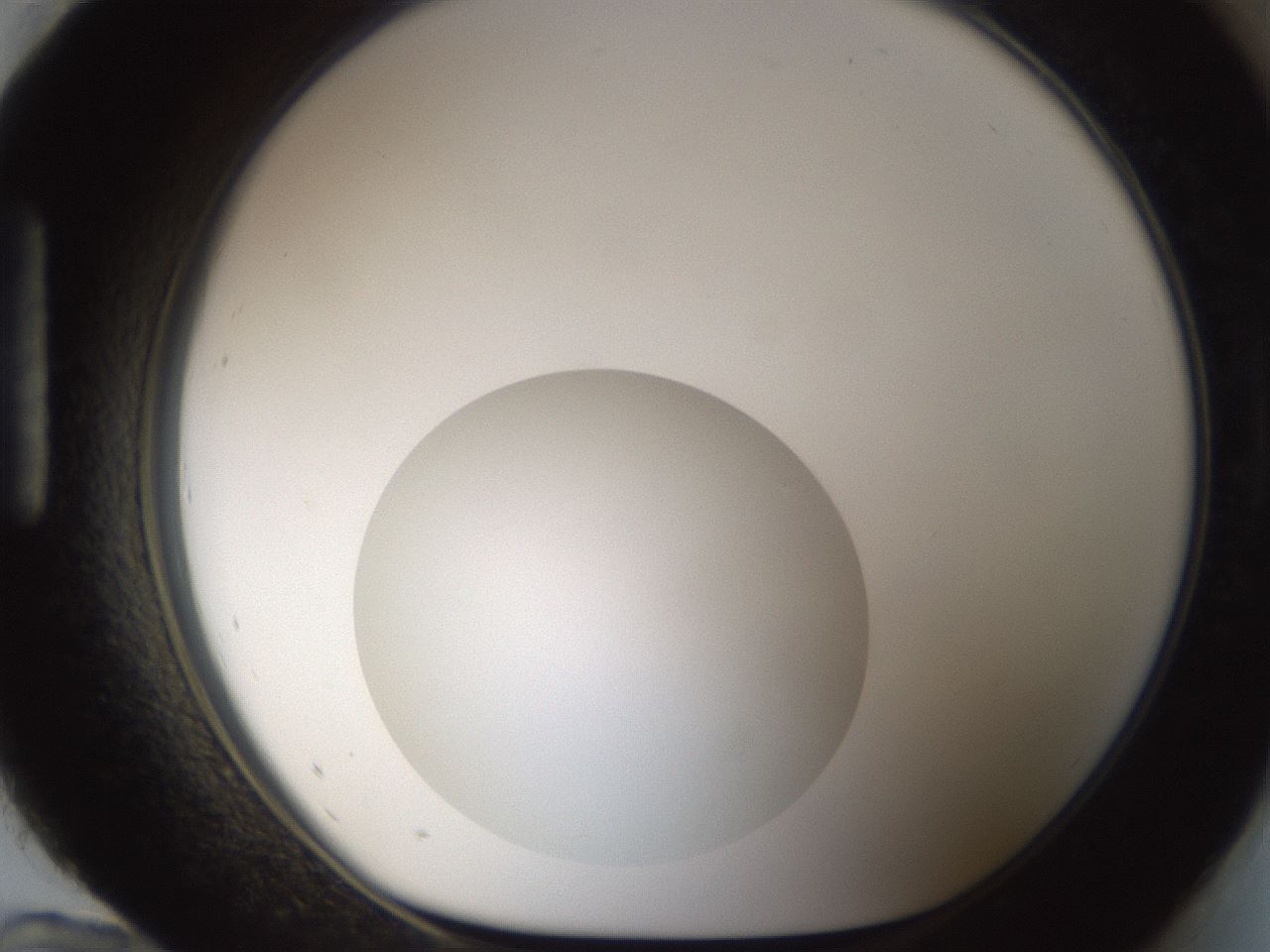 folderID58_plateID1058_batchID2301_wellNum96_profileID1_d1_r47840_ef.jpg